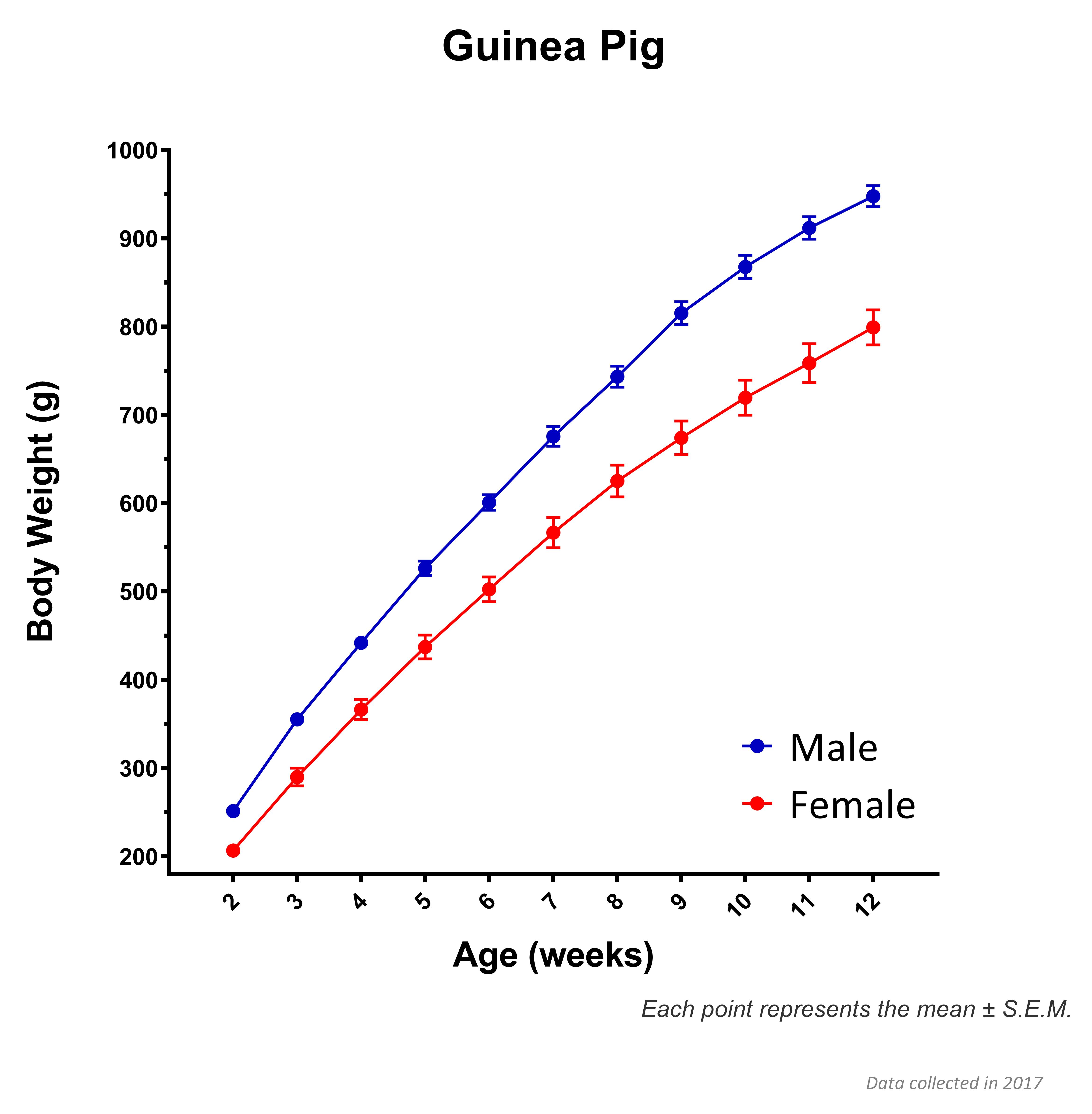 Guinea Pig SEM Graph