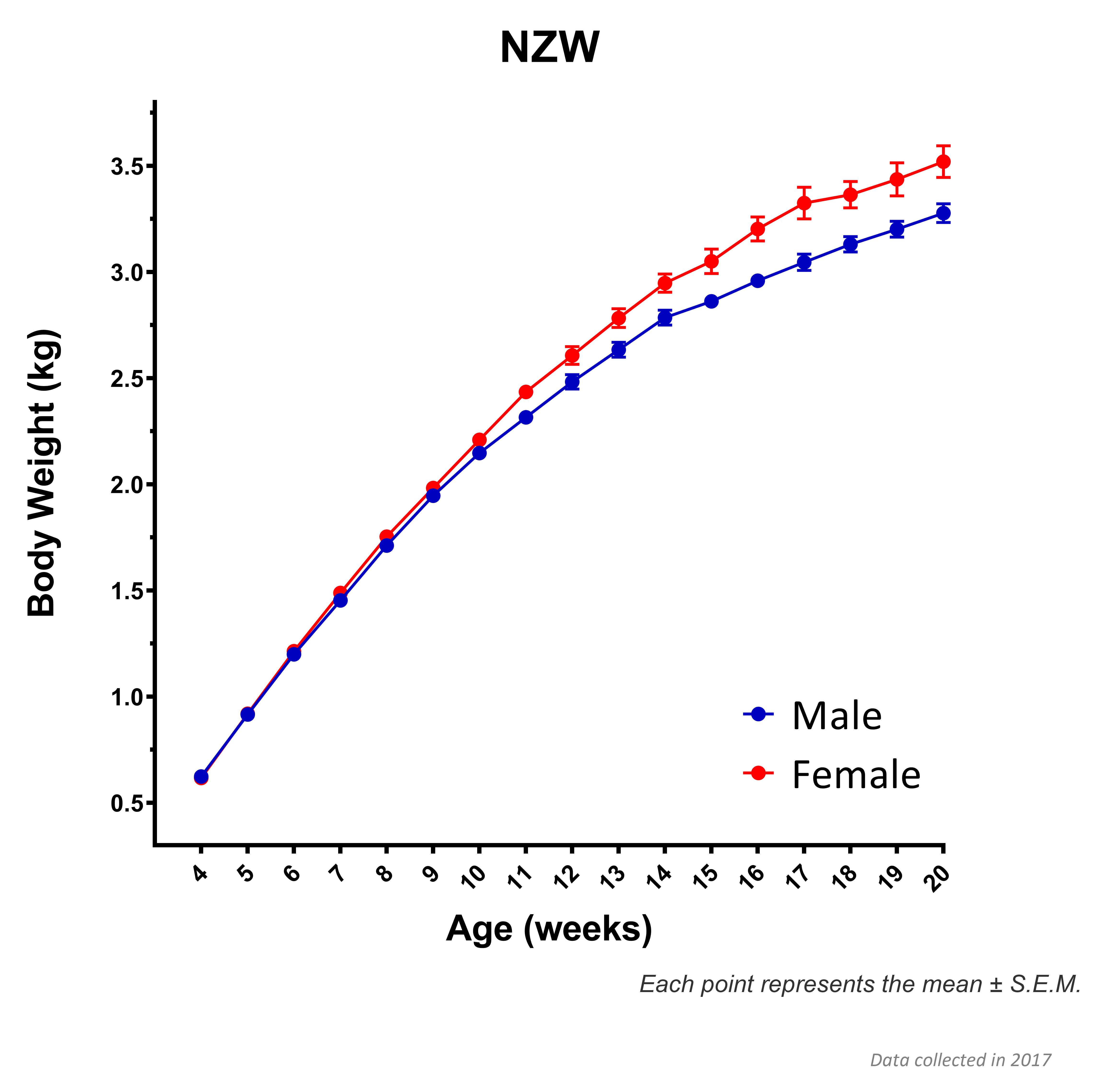 NZW (New Zealand White) SEM Graph