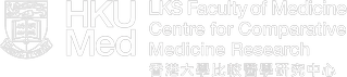 Li Ka Shing Faculty of Medicine, The University Of Hong Kong